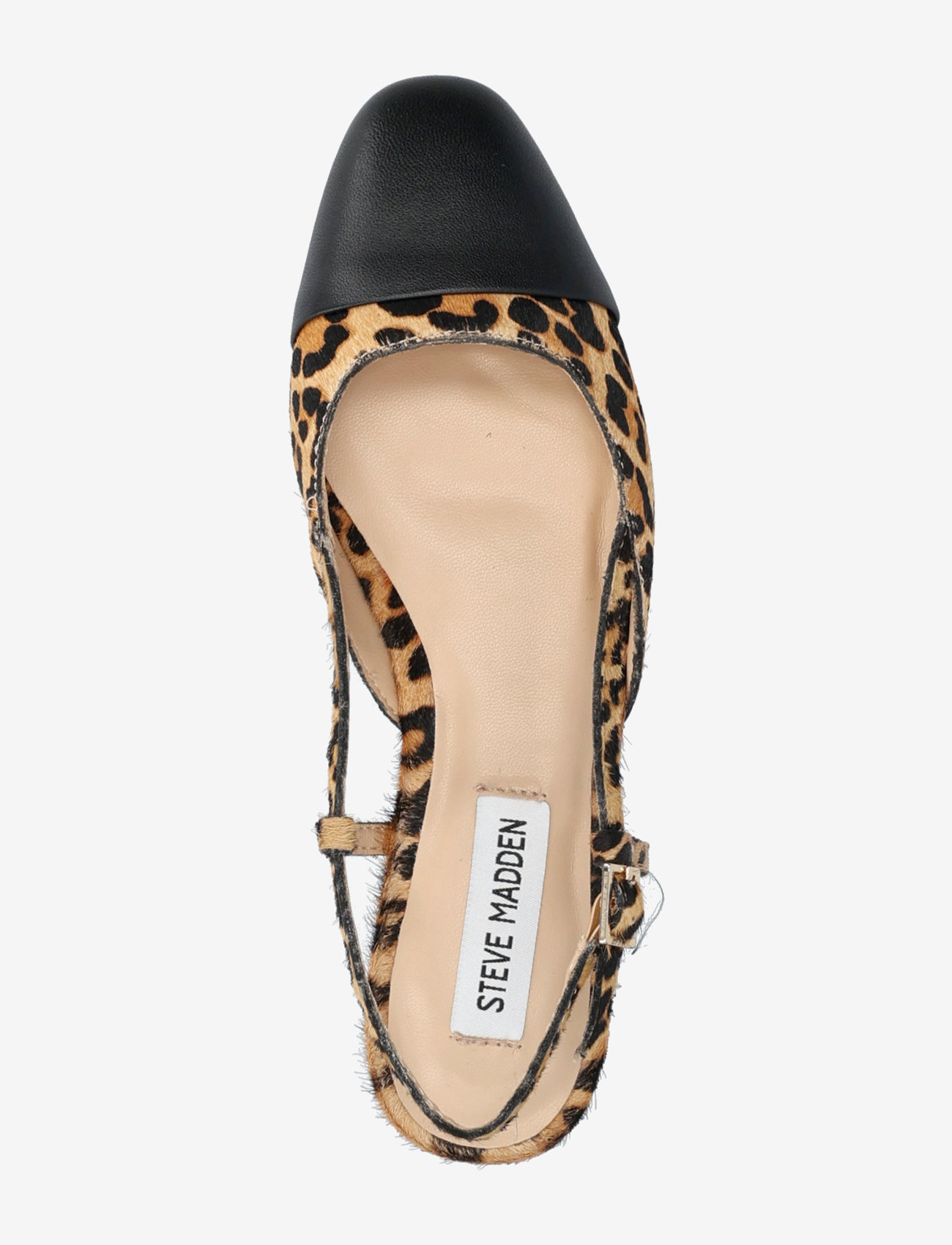 Steve Madden - Belinda-L Ballerina - flade slingbacks - leopard - 3