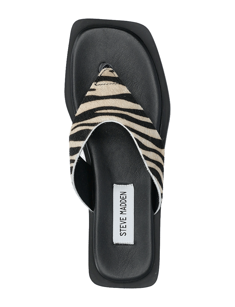 Steve Madden - Splash-L Sandals - flat sandals - zebra - 3