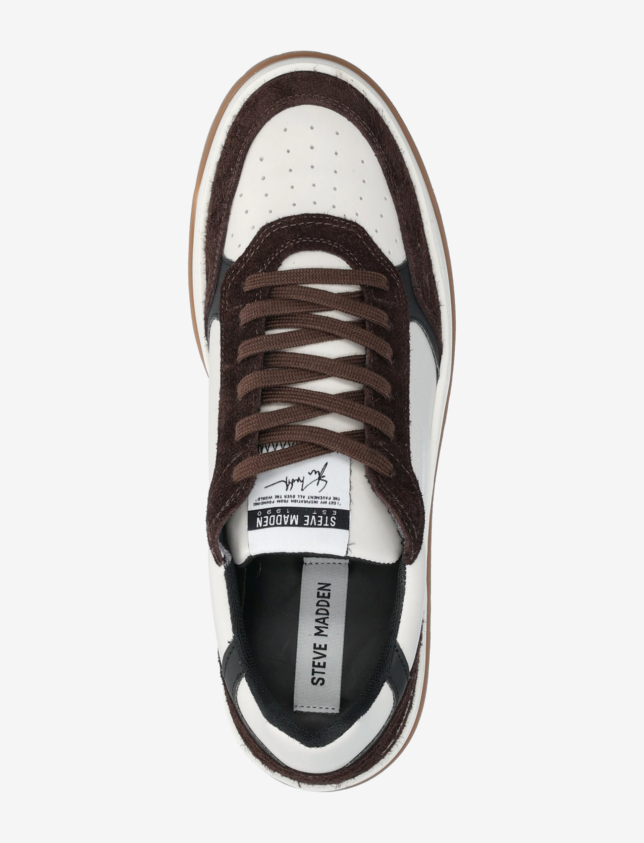 Steve Madden - Ace Sneaker - bone/dark brown - 3