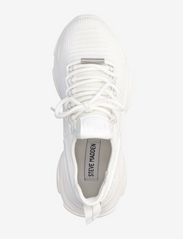 Steve Madden - Mac-E Sneaker - madala säärega tossud - white/white - 3