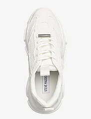 Steve Madden - Possession-E Sneaker - niedrige sneakers - white - 3