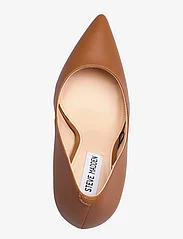 Steve Madden - Evelyn-E - party wear at outlet prices - cognac leather - 3