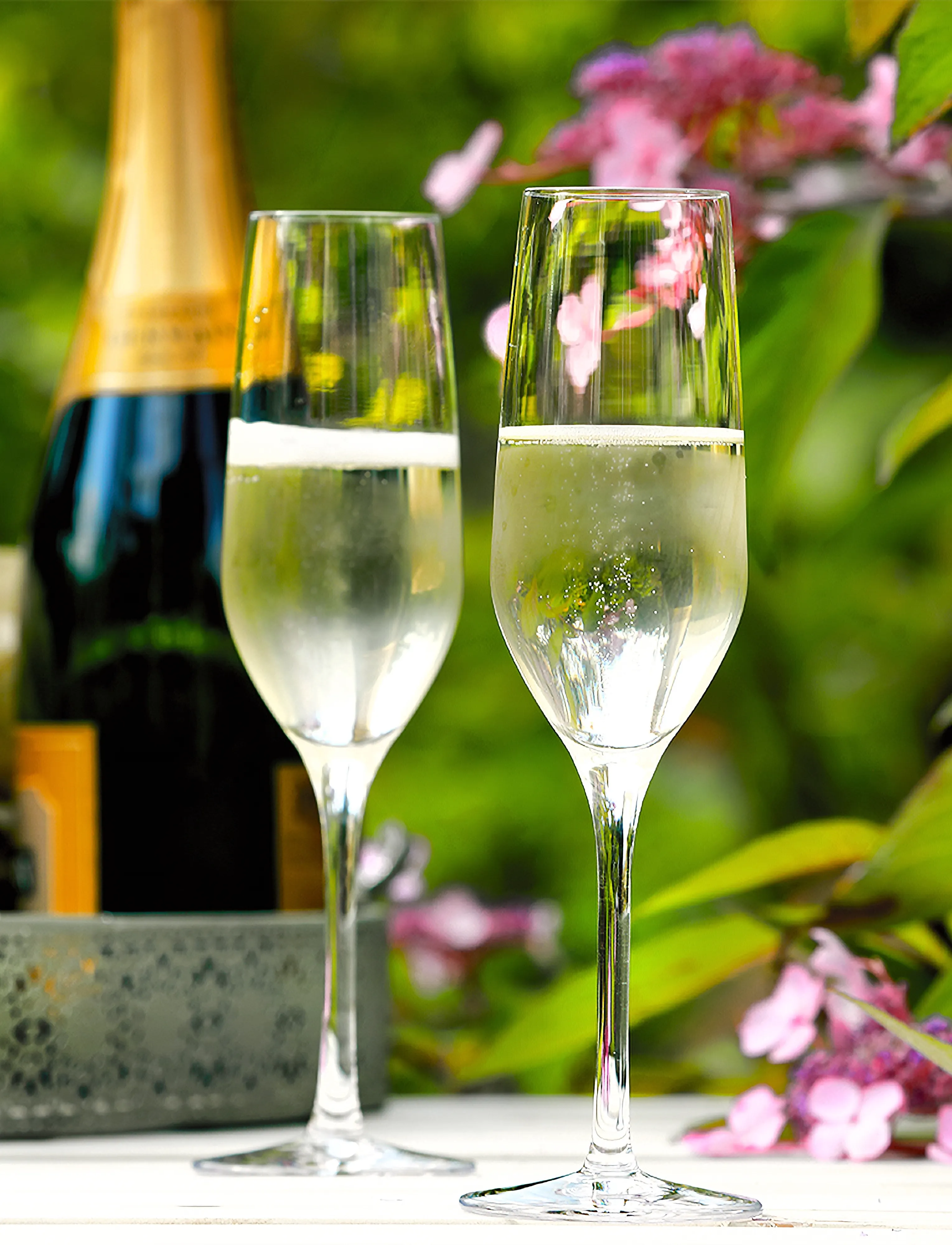 Stölzle Lausitz Sekt Glas Ultra 18,5Cl. 6 Stk, 18.5 CL, Glass, Nackt - Champagne Homeware