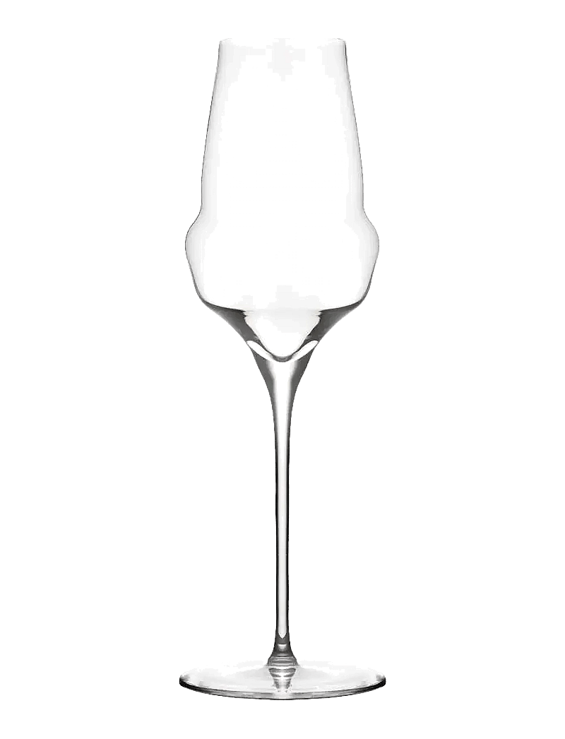 Stölzle Lausitz - Champagne glass CoCoon 34cl. 6 pieces - Šampanjaklaasid - clear - 2