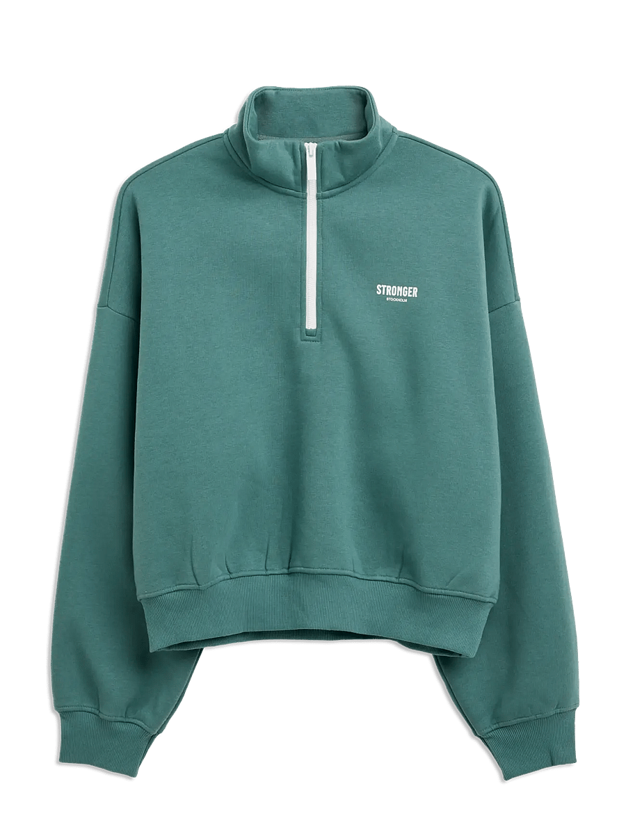 STRONGER - Half Zip Sweatshirt - sweatshirts - silver pine - 0