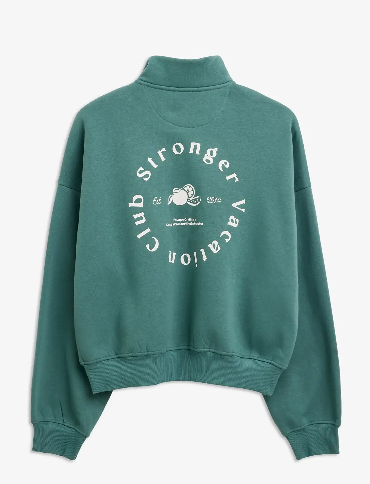 STRONGER - Half Zip Sweatshirt - sweatshirts - silver pine - 1