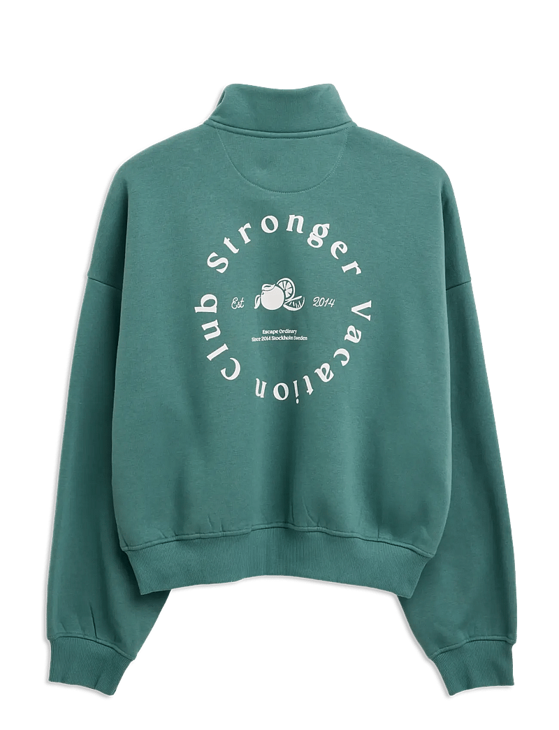 STRONGER - Half Zip Sweatshirt - sweatshirts - silver pine - 1