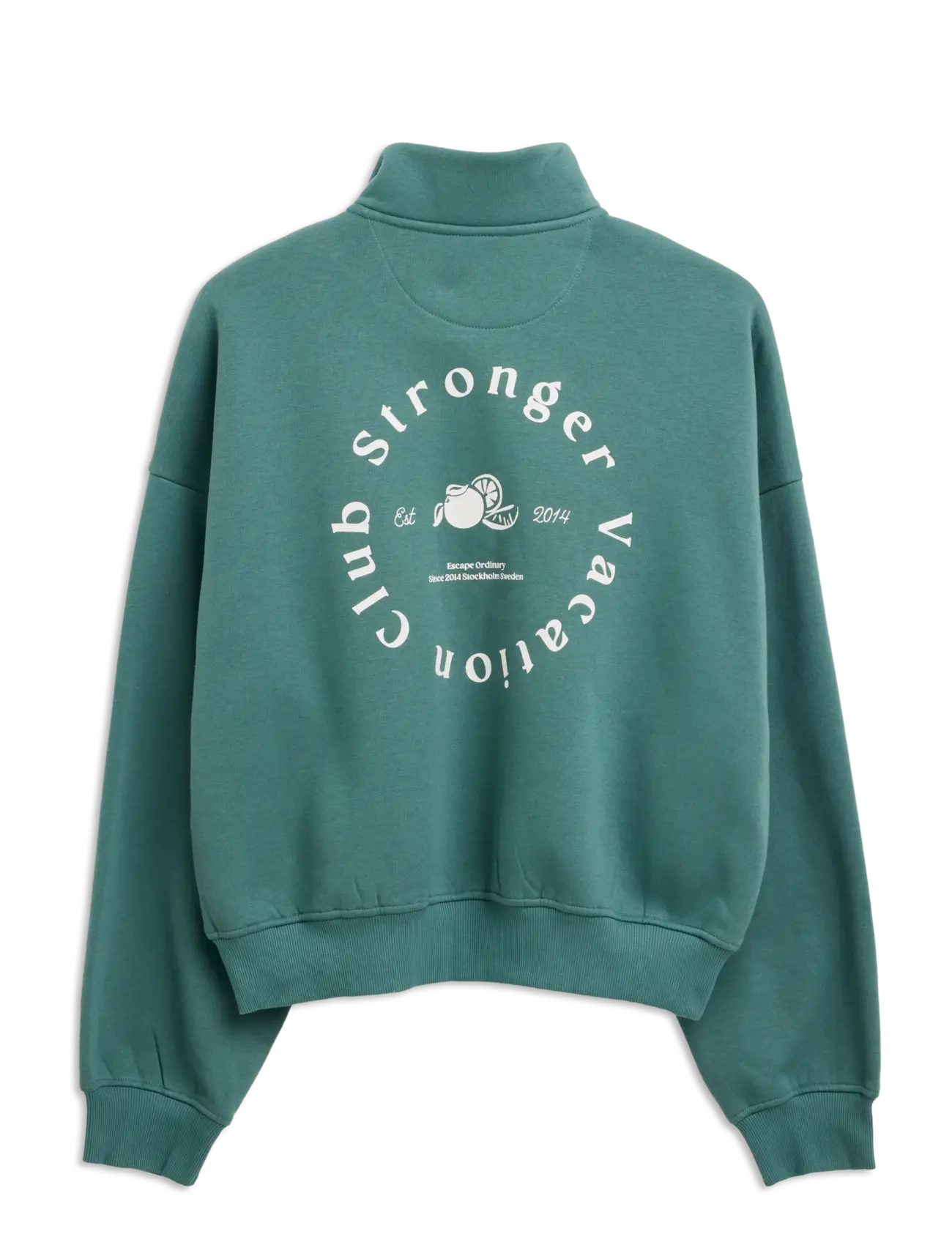 STRONGER - Half Zip Sweatshirt - sweatshirts - silver pine - 1