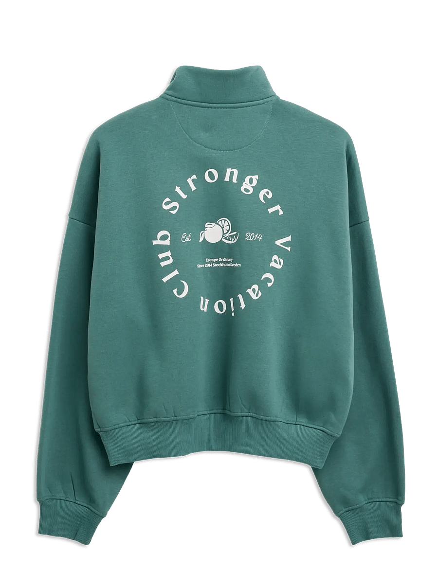 STRONGER - Half Zip Sweatshirt - sweatshirts - silver pine - 1
