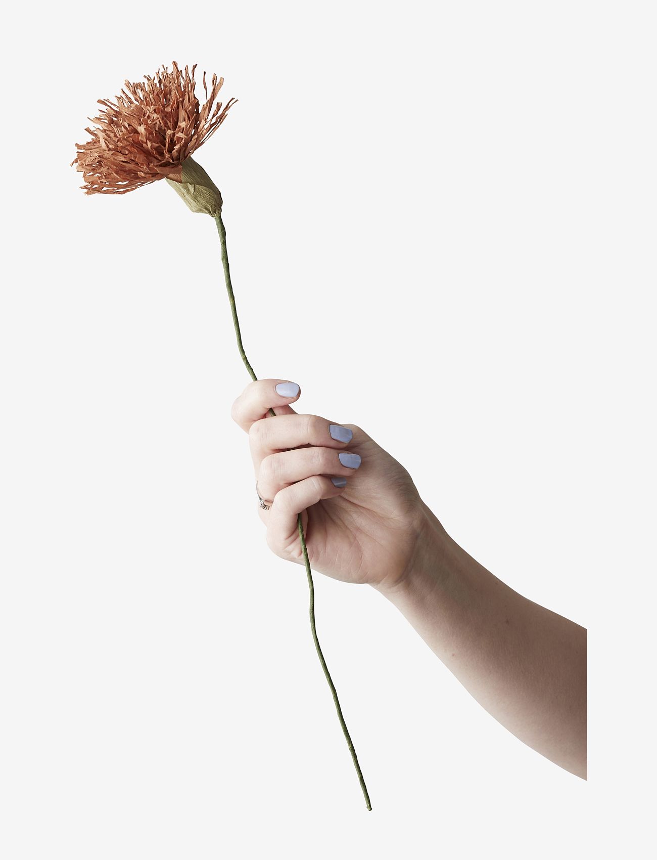 STUDIO ABOUT Paper Flower Braun - L:42CM - Unisex