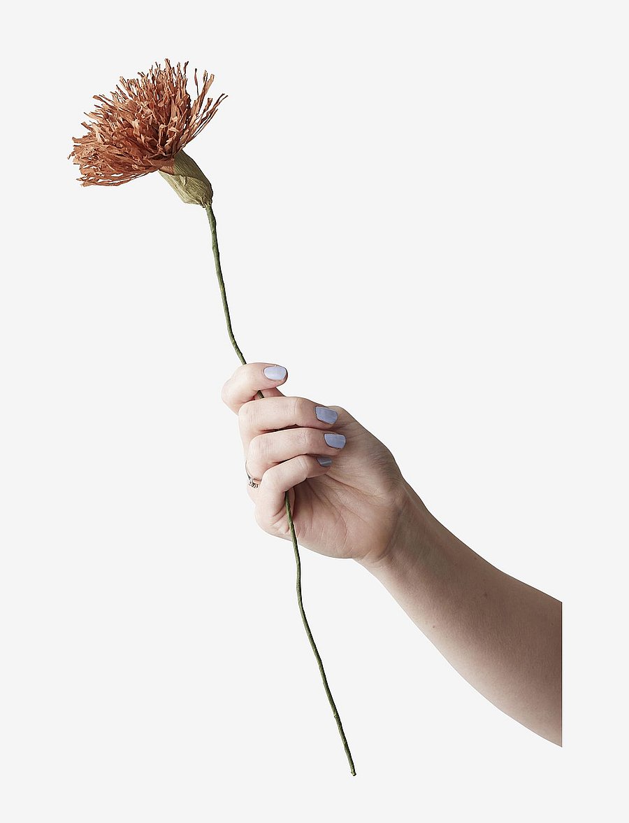 Studio About - PAPER FLOWER - kuivatatud lilled - dark ochre - 1