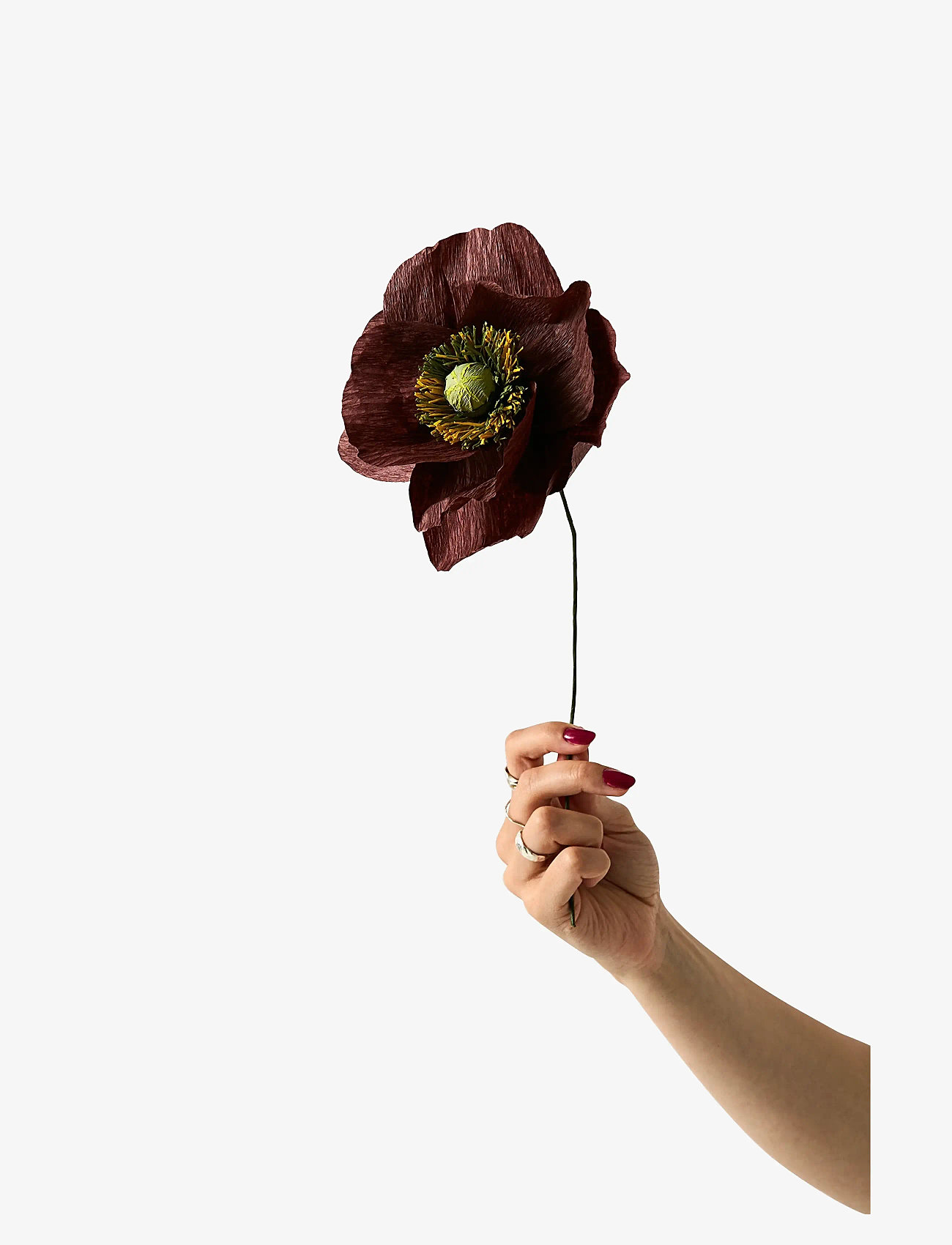 Studio About - PAPER FLOWER, PAPAVER, BROWN - valentines day gifts - brown - 1