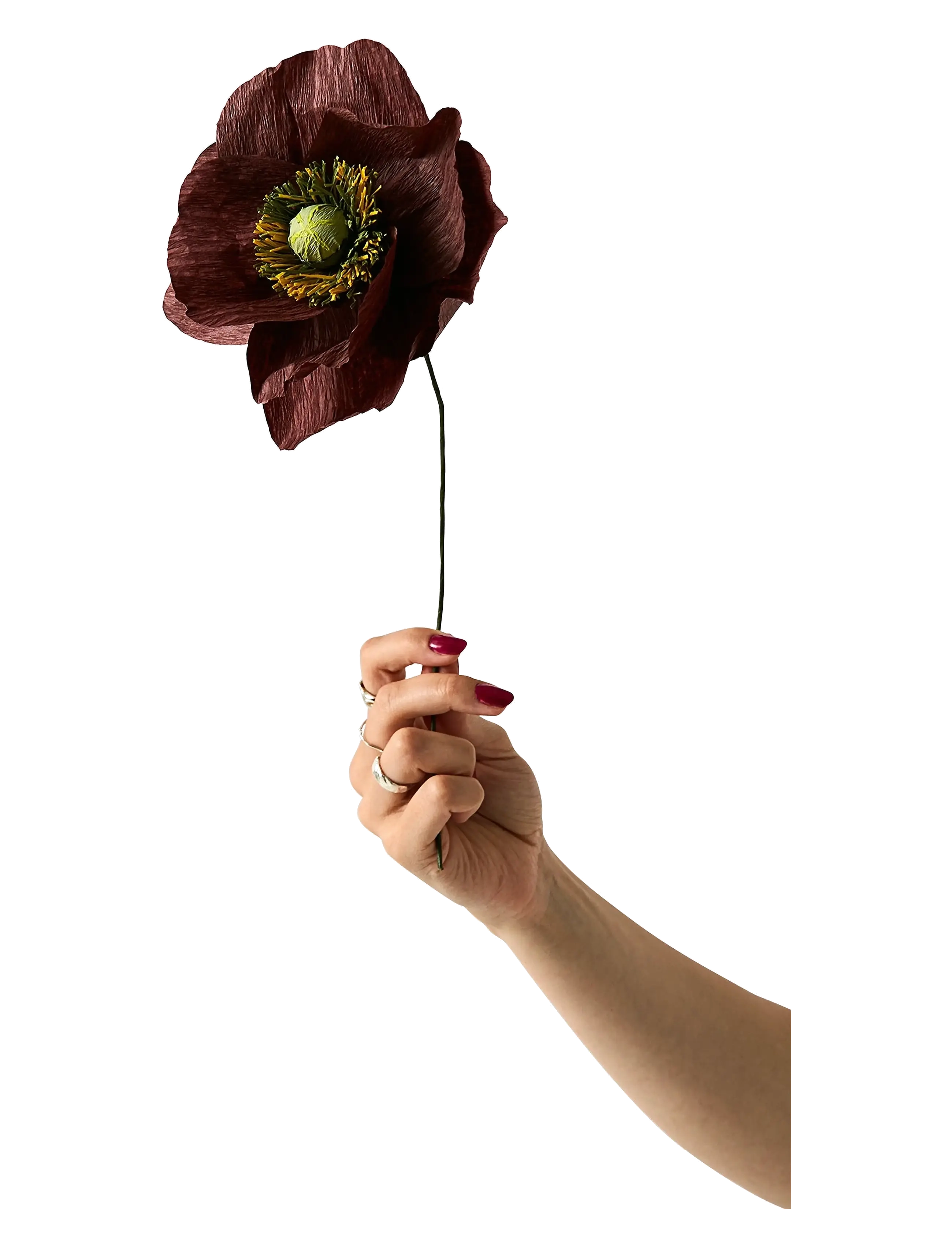 PAPER FLOWER, PAPAVER, BROWN - BROWN