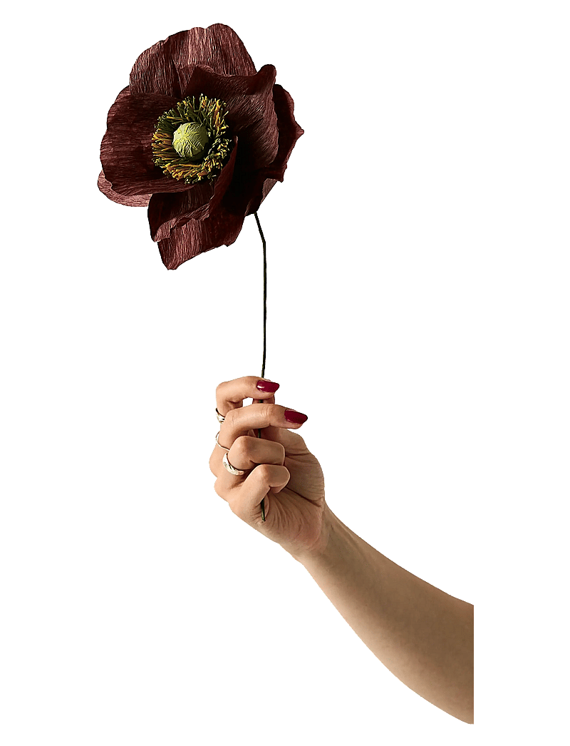 Studio About - PAPER FLOWER, PAPAVER, BROWN - madalaimad hinnad - brown - 0