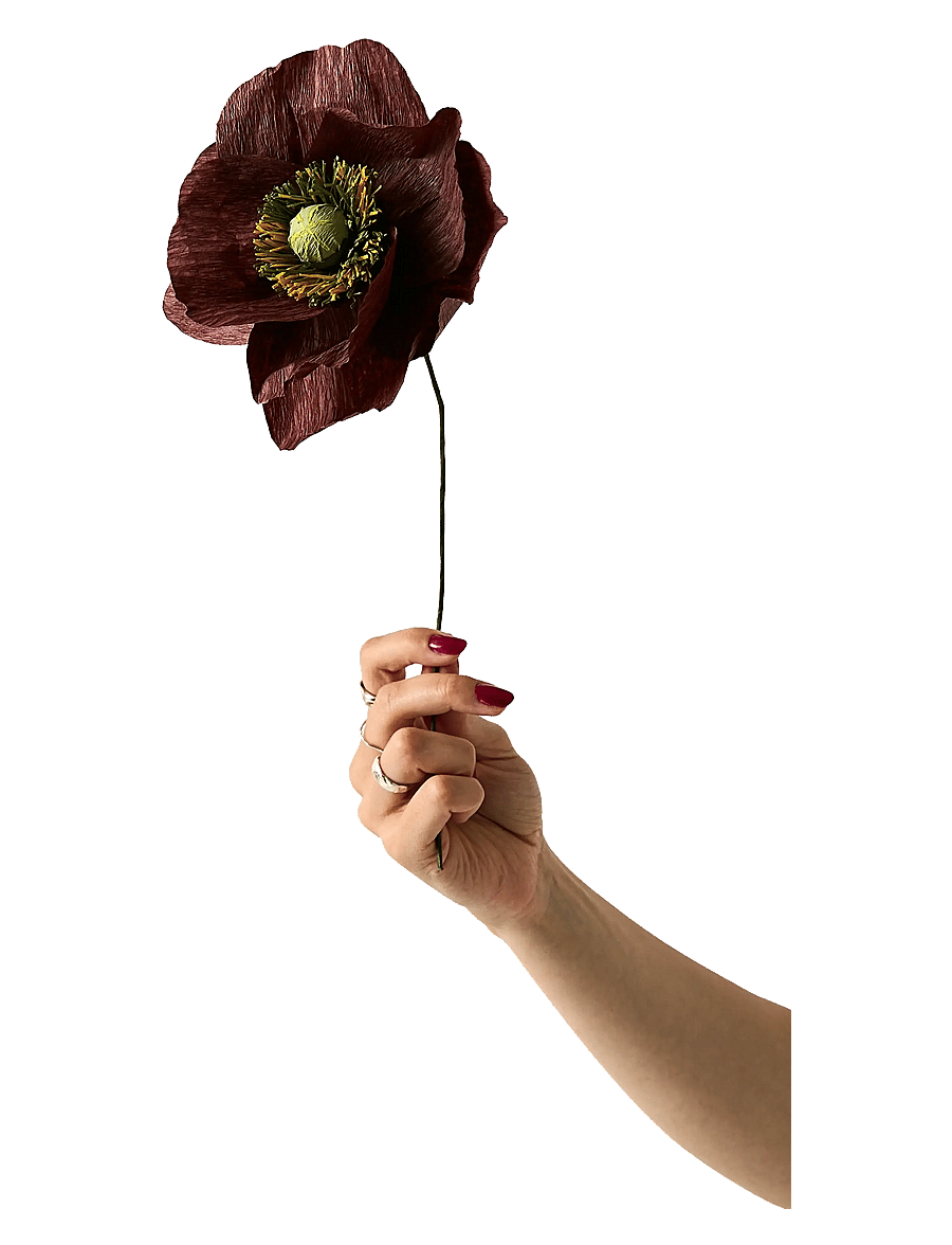 Studio About - PAPER FLOWER, PAPAVER, BROWN - madalaimad hinnad - brown - 0