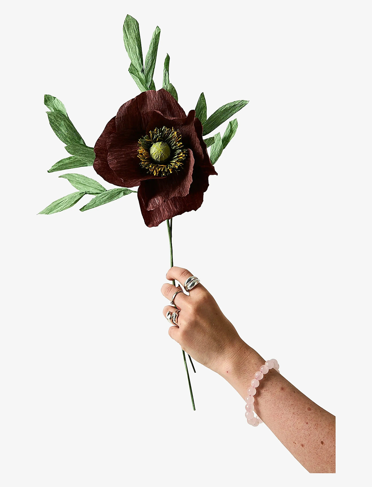 Studio About - PAPER FLOWER, PAPAVER, BROWN - valentines day gifts - brown - 2