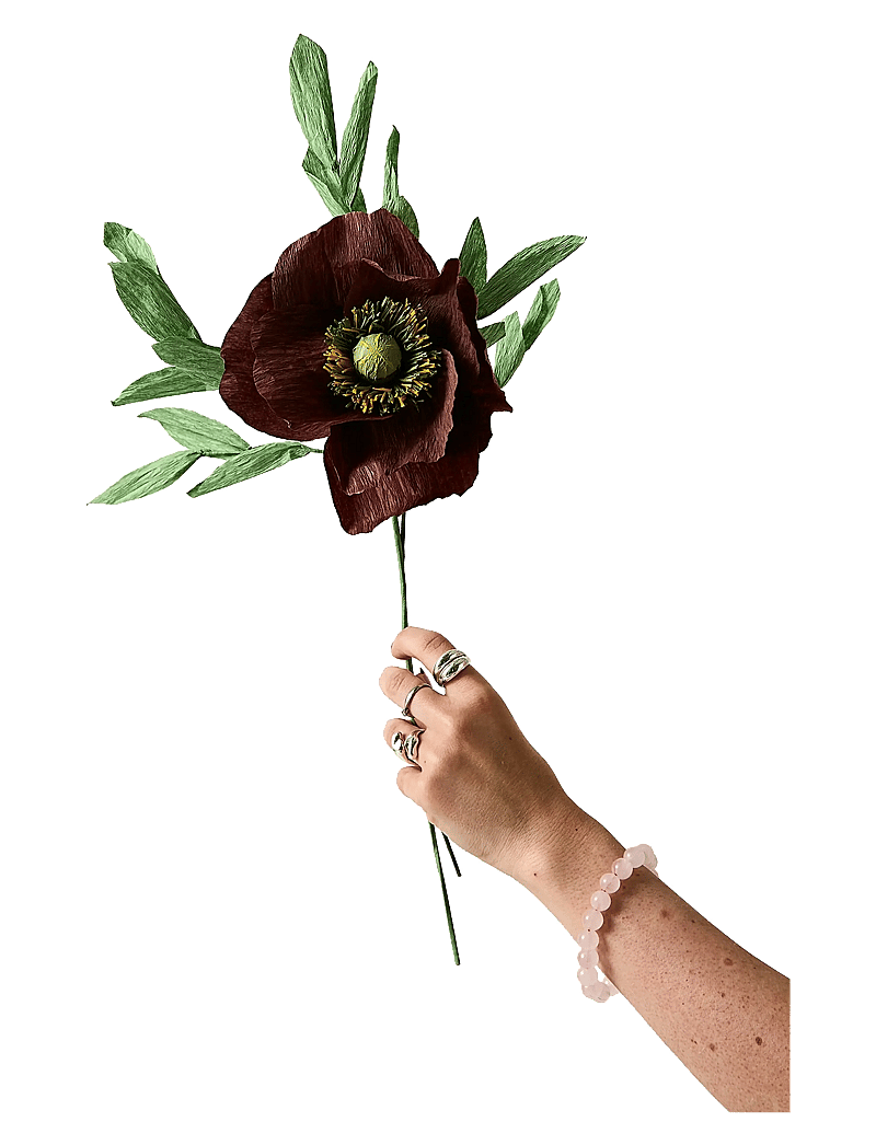 Studio About - PAPER FLOWER, PAPAVER, BROWN - madalaimad hinnad - brown - 1