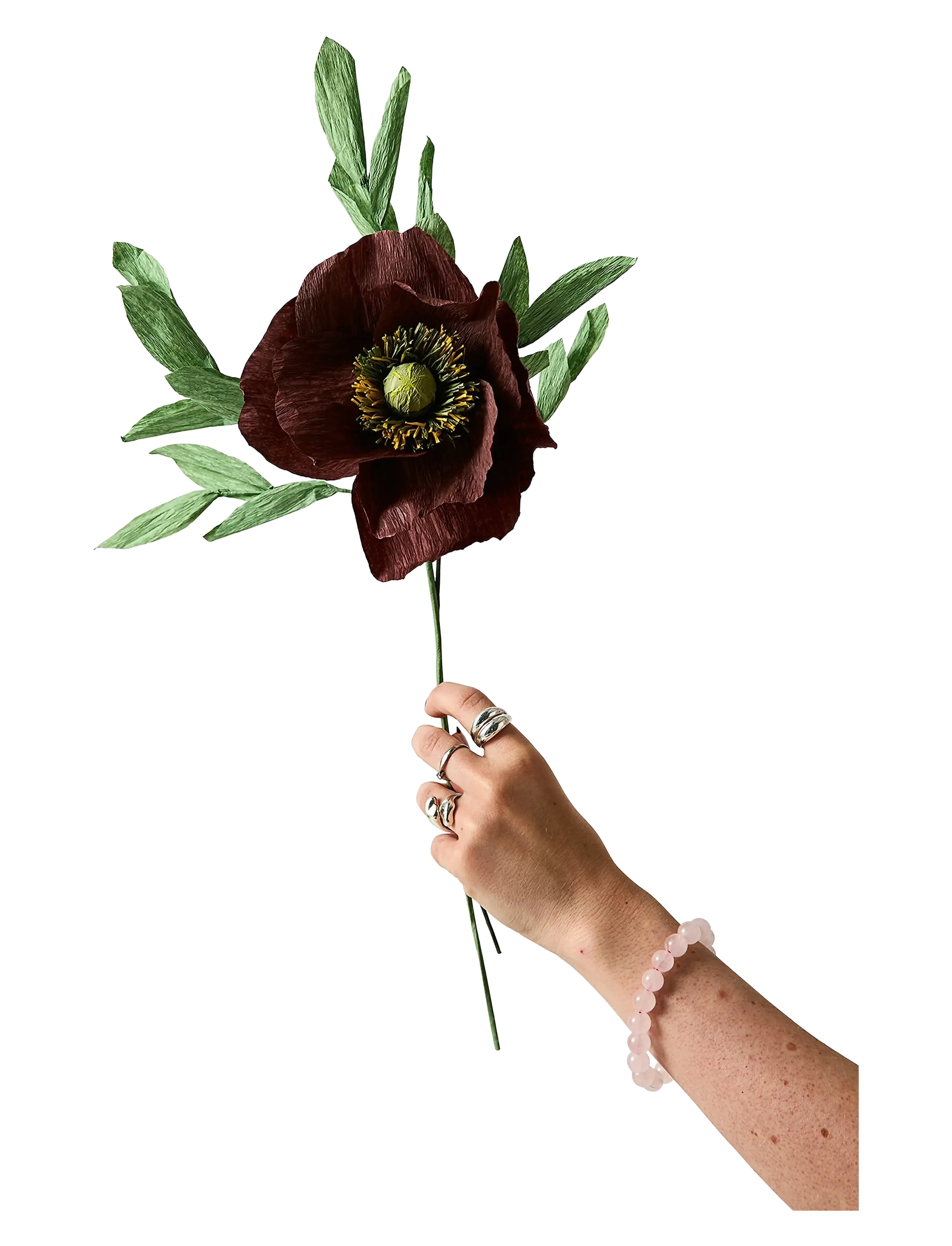Studio About - PAPER FLOWER, PAPAVER, BROWN - laveste priser - brown - 1