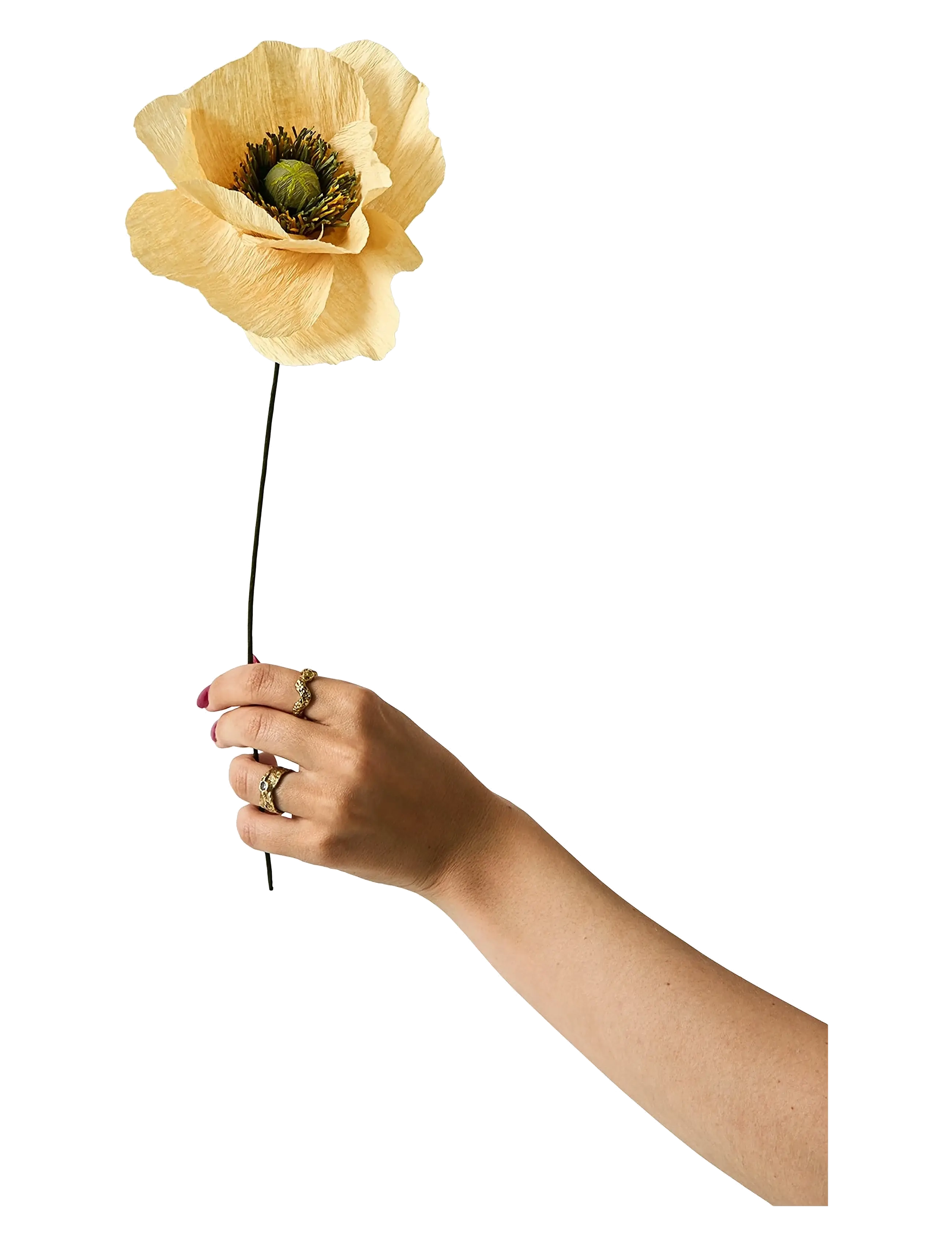 STUDIO ABOUT Paper Flower, Papaver, Soft Peach Beige - 12X40CM - Unisex