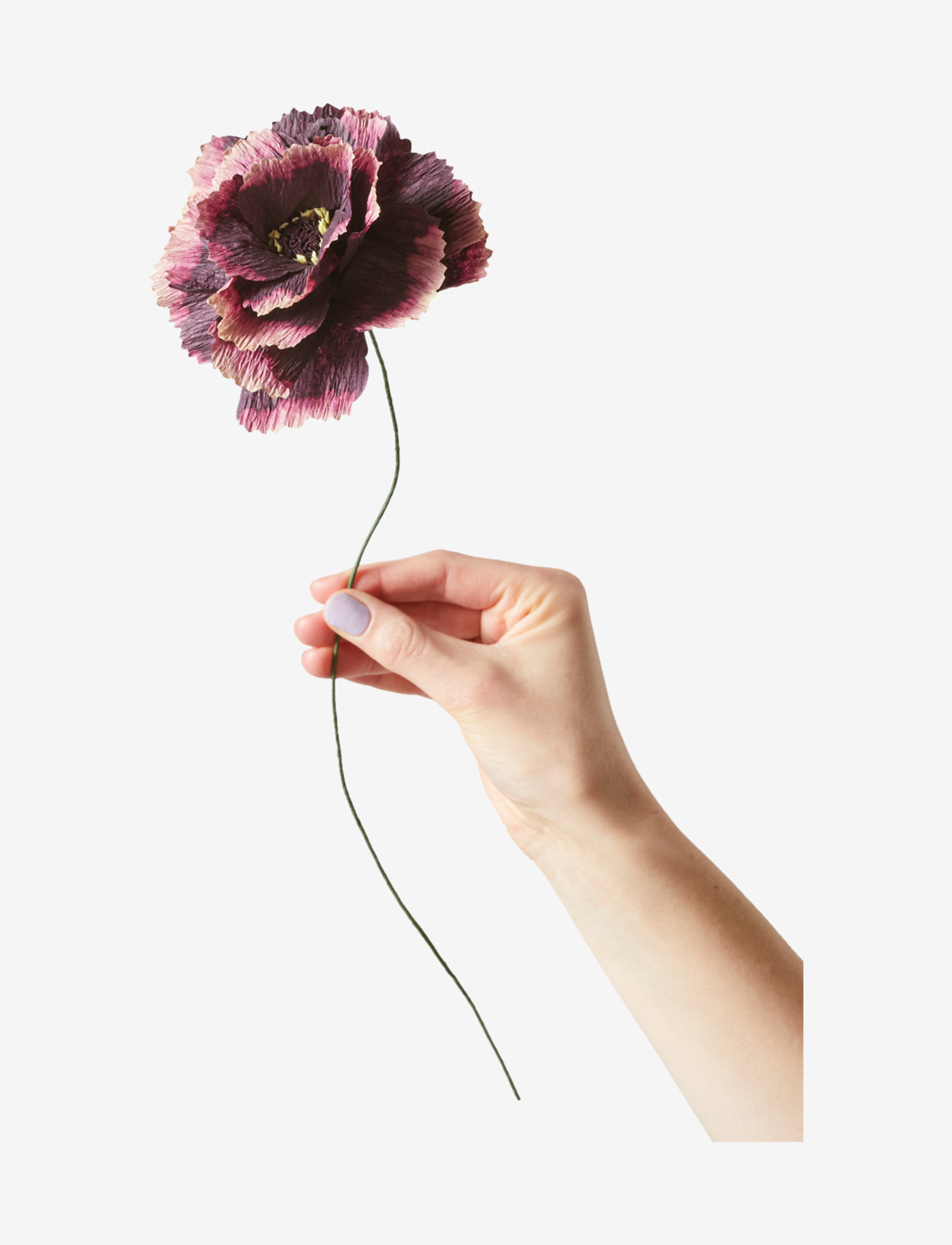 Studio About Paper Flower, L:12.0 cm, Decoration, Lila - Flowers, Homeware