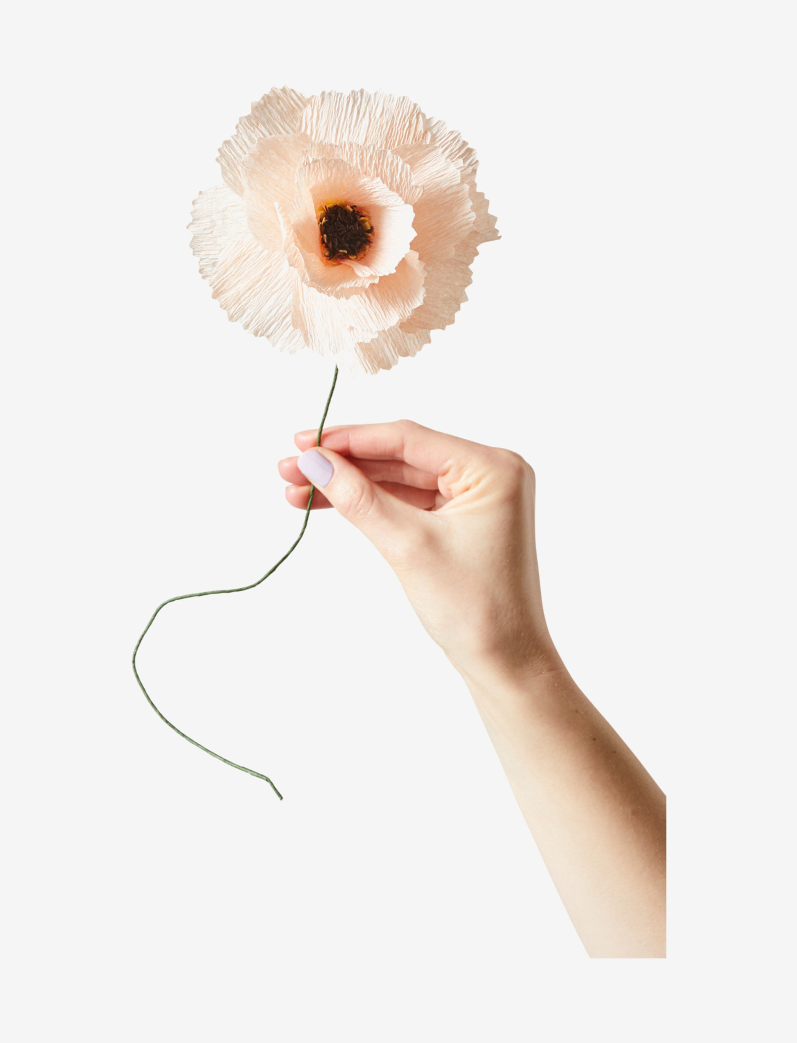Studio About Paper Flower, L:12.0 cm, Decoration, Rosa - Flowers, Homeware