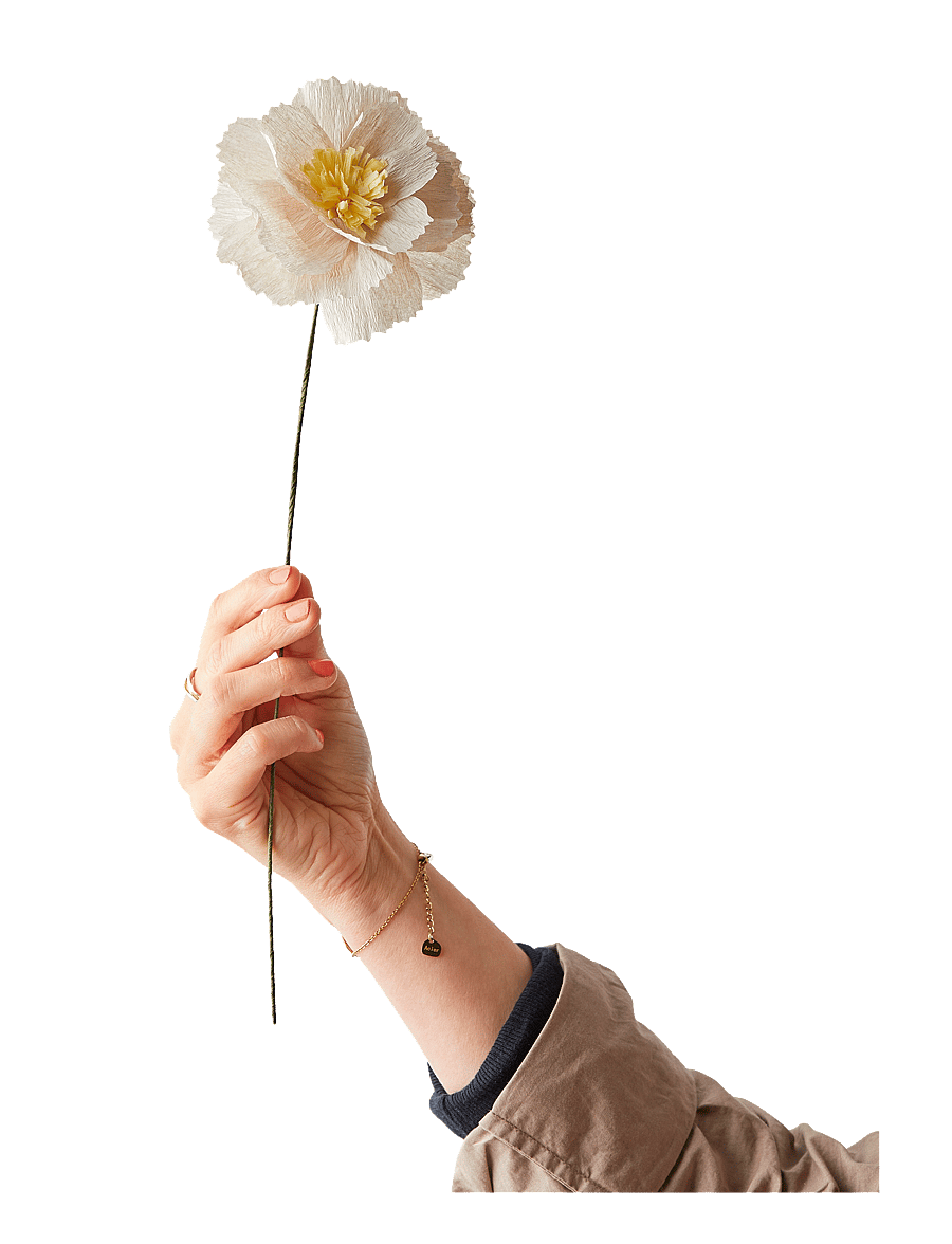 Studio About - PAPER FLOWER - kuivatatud lilled - grey - 1