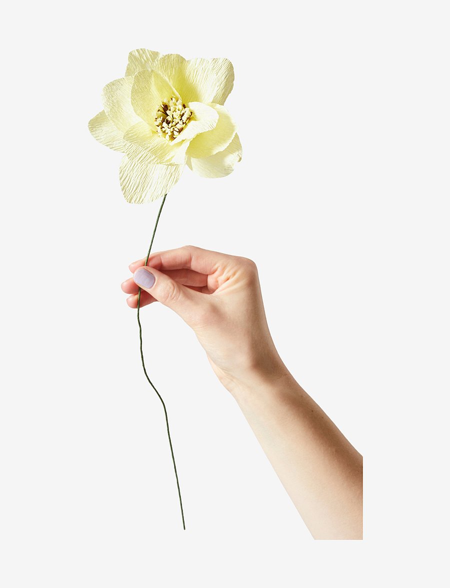 Studio About - PAPER FLOWER, DAHLIA - kuivatatud lilled - yellow - 1