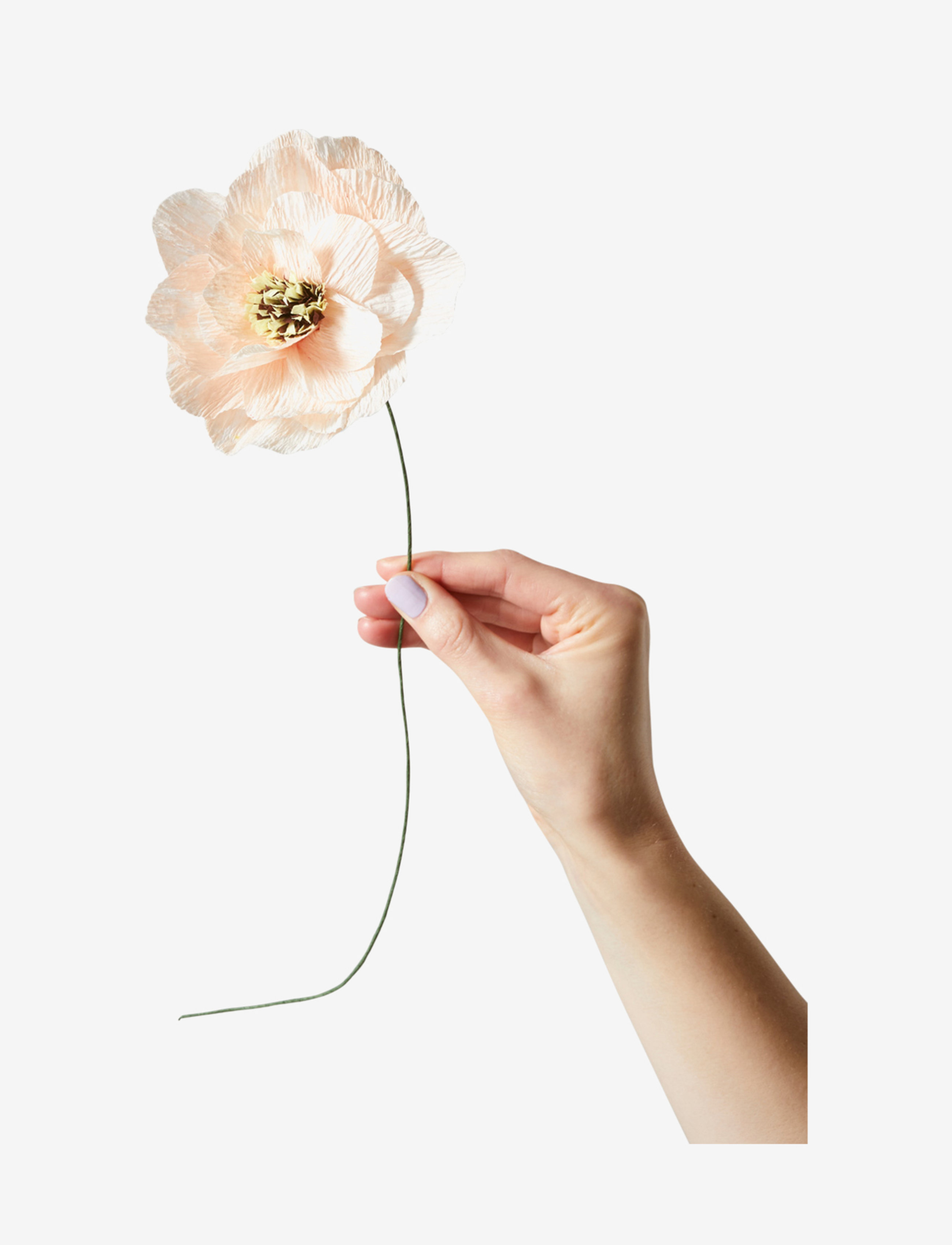Studio About Paper Flower, L:13.0 cm, Decoration, Rosa - Flowers, Homeware