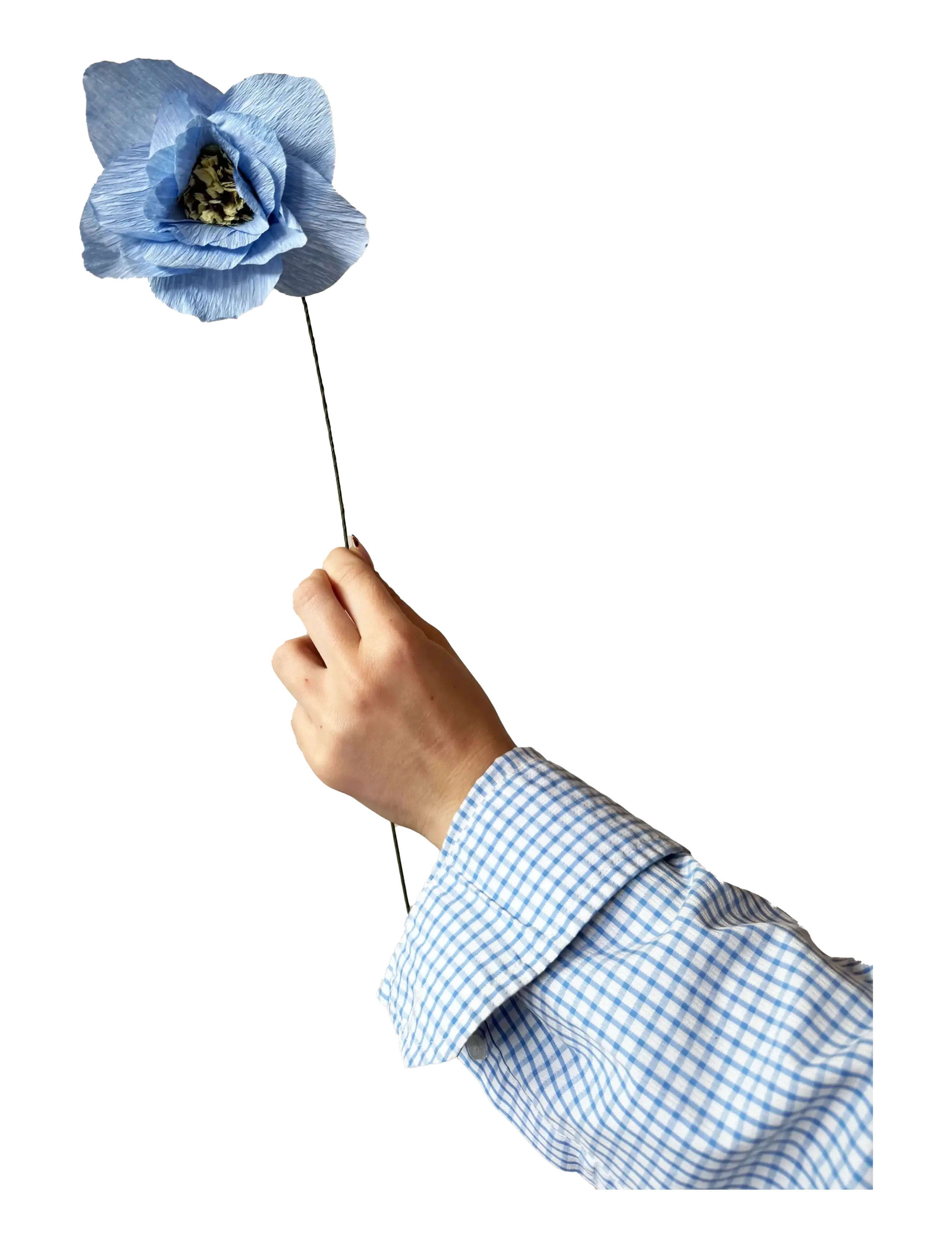 PAPER FLOWER, POPPY, LIGHT BLUE - LIGHT BLUE