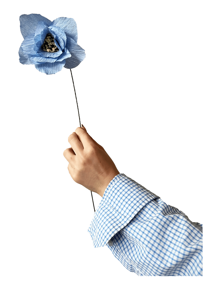 Studio About - PAPER FLOWER, POPPY, LIGHT BLUE - valentinstaggeschenke - light blue - 1