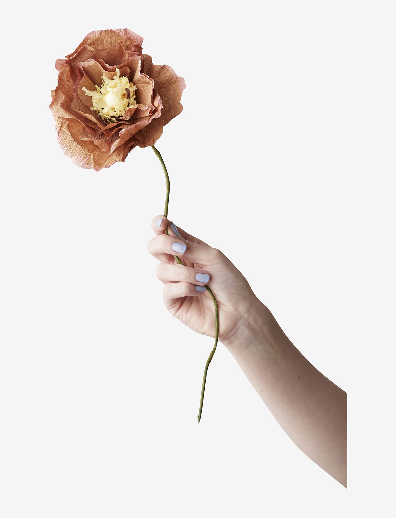 Studio About PAPER FLOWER - Interiør - DARK OCHRE / brown