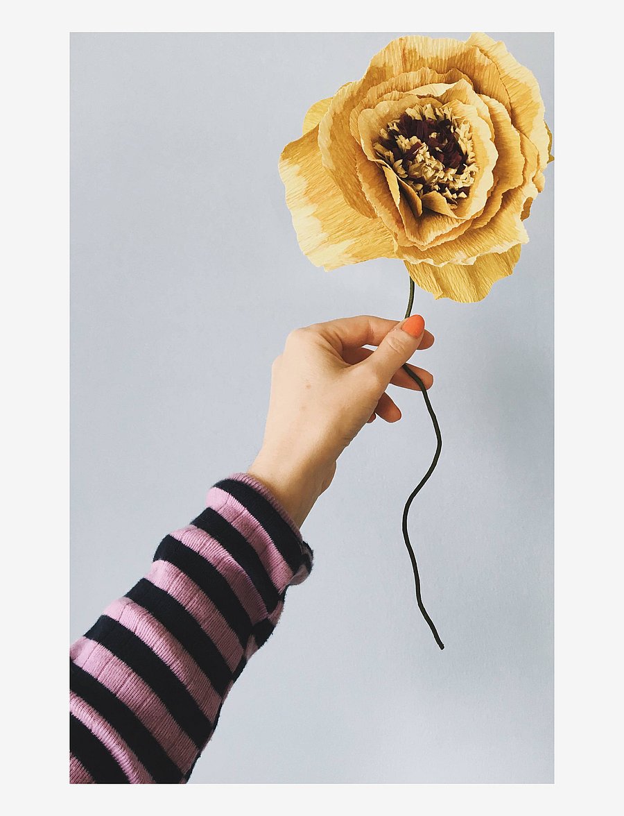 Studio About - PAPER FLOWER - madalaimad hinnad - ochra - 2