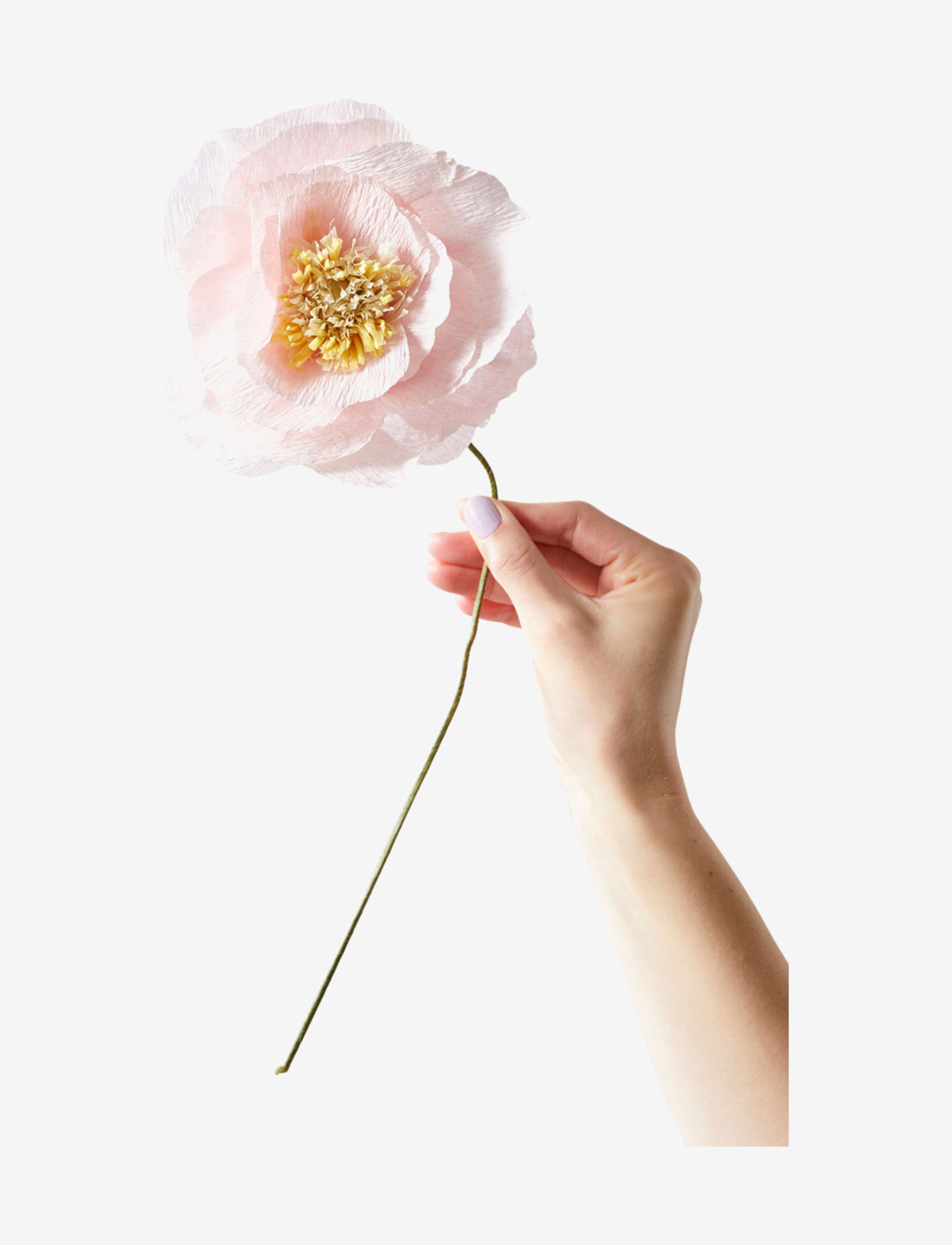 Studio About Paper Flower, L:44 cm, Decoration, Rosa - Flowers, Homeware