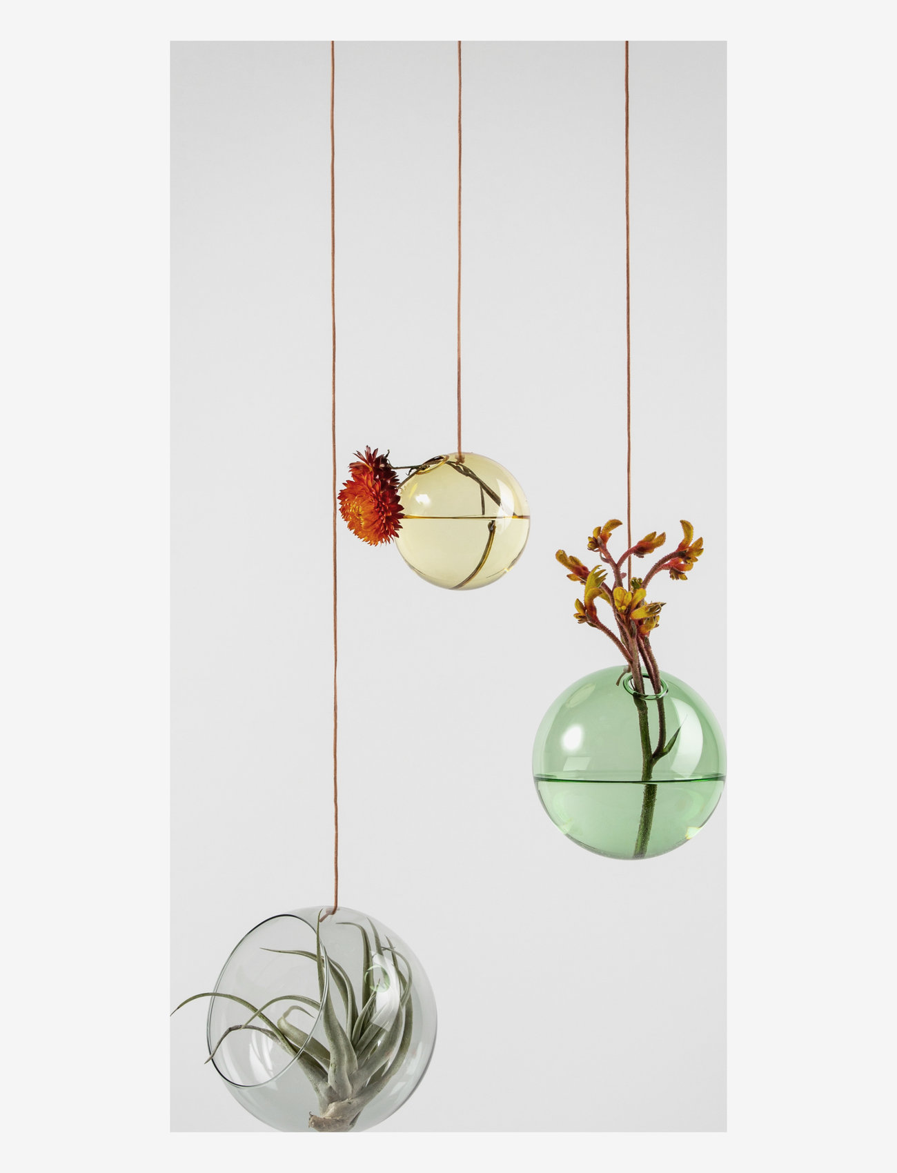 Studio About - HANGING PLANT BUBBLE - birthday gifts - smoke - 1