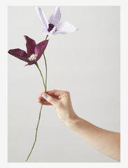 Studio About - PAPER FLOWER, CLEMATIS - getrocknete blumen - aubergine - 2