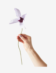 Studio About - PAPER FLOWER, CLEMATIS - laagste prijzen - purple - 0