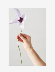 Studio About - PAPER FLOWER, CLEMATIS - lägsta priserna - purple - 1