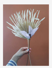 Studio About - PAPER FLOWER, CLEMATIS - lowest prices - purple - 5