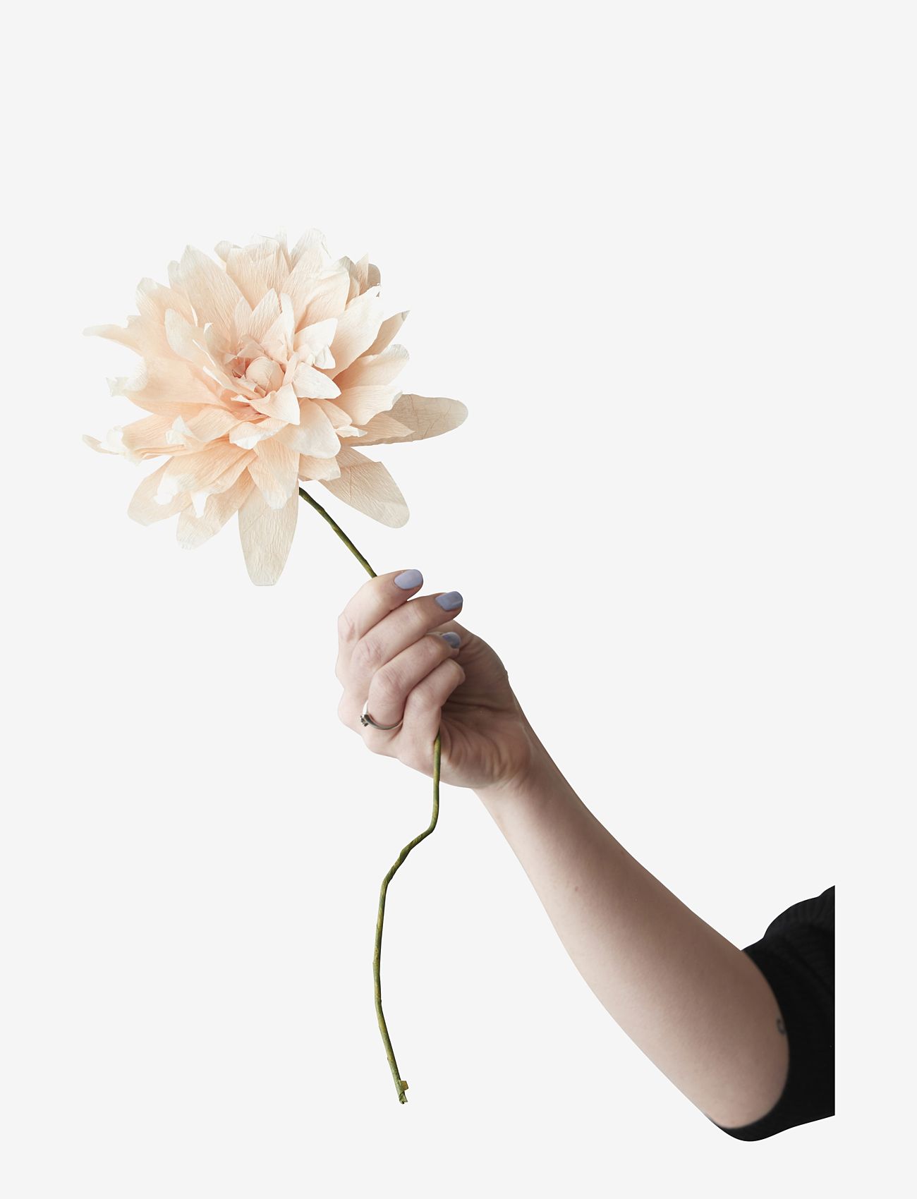STUDIO ABOUT Paper Flower Beige - L:46.0CM - Unisex