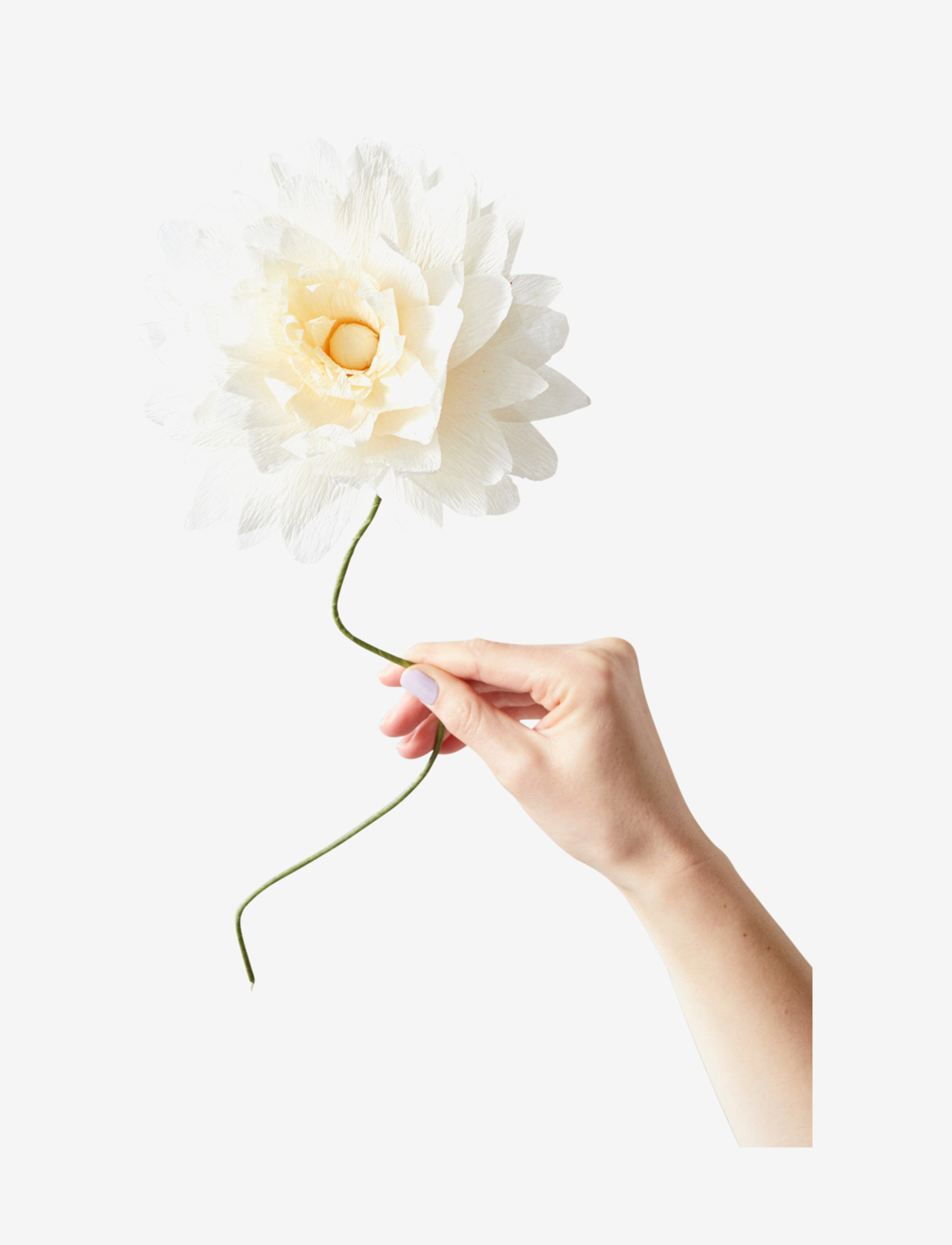 Studio About Paper Flower, L:46.0 cm, Decoration, Creme - Flowers, Homeware
