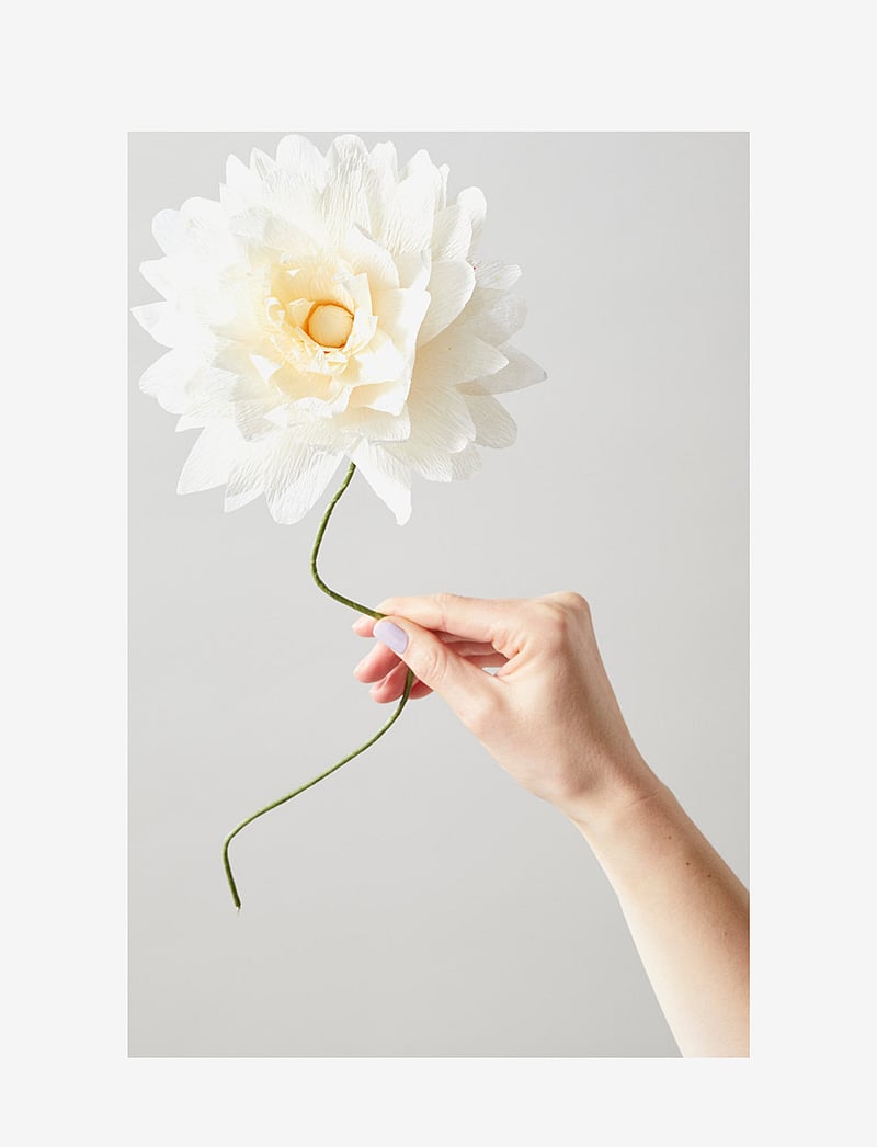 Studio About - PAPER FLOWER - kuivatatud lilled - sand - 1