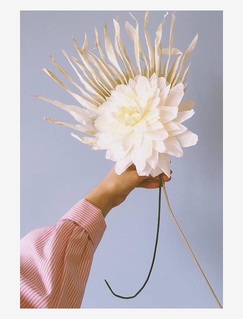 Studio About - PAPER FLOWER - kuivatatud lilled - sand - 4