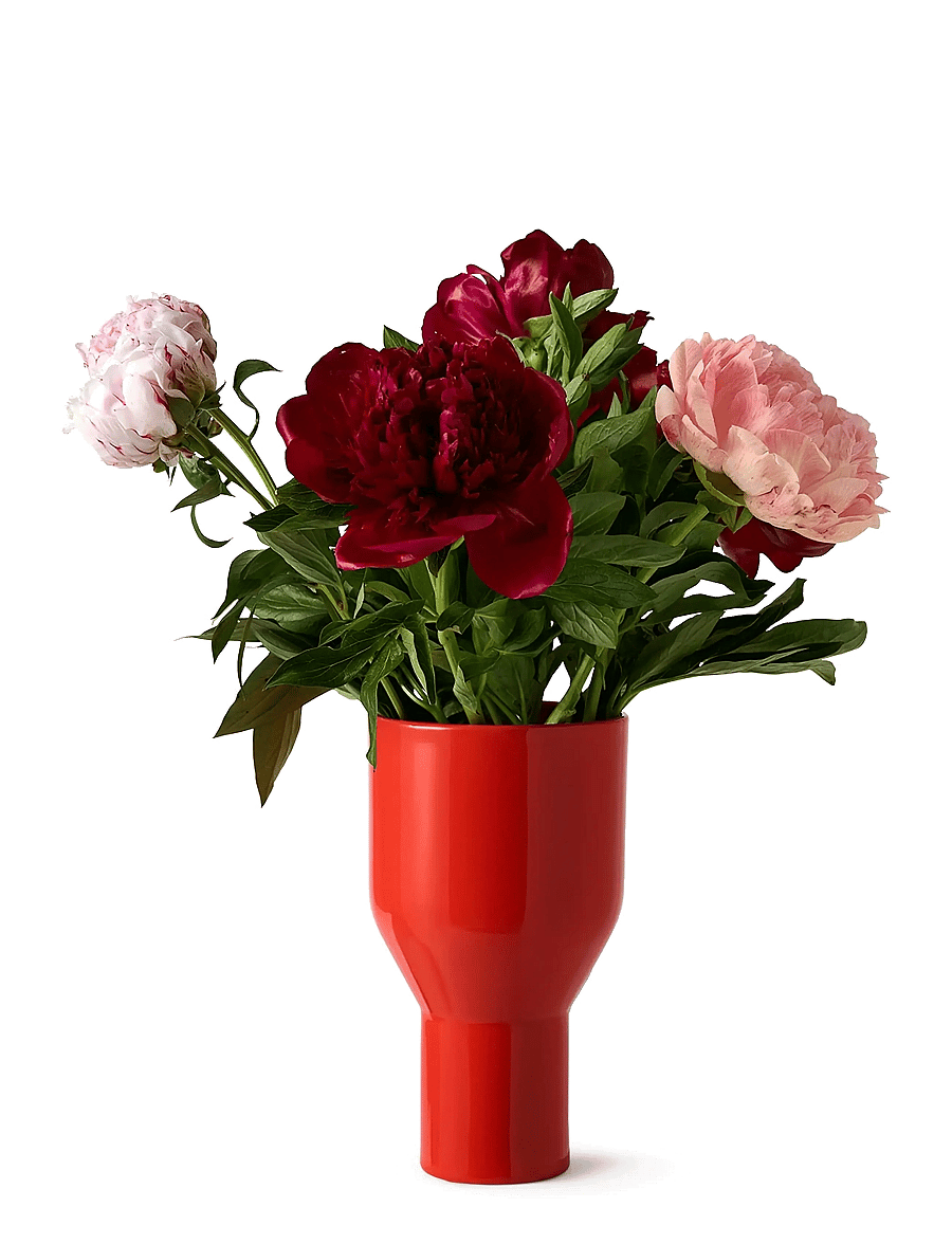 Studio About - VASE, FLOWERSHADE - sünnipäevakingitused - red - 1