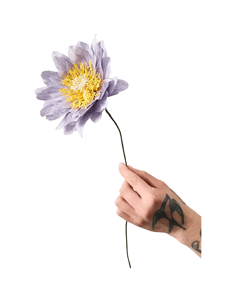 Studio About - PAPER FLOWER - die niedrigsten preise - purple - 0