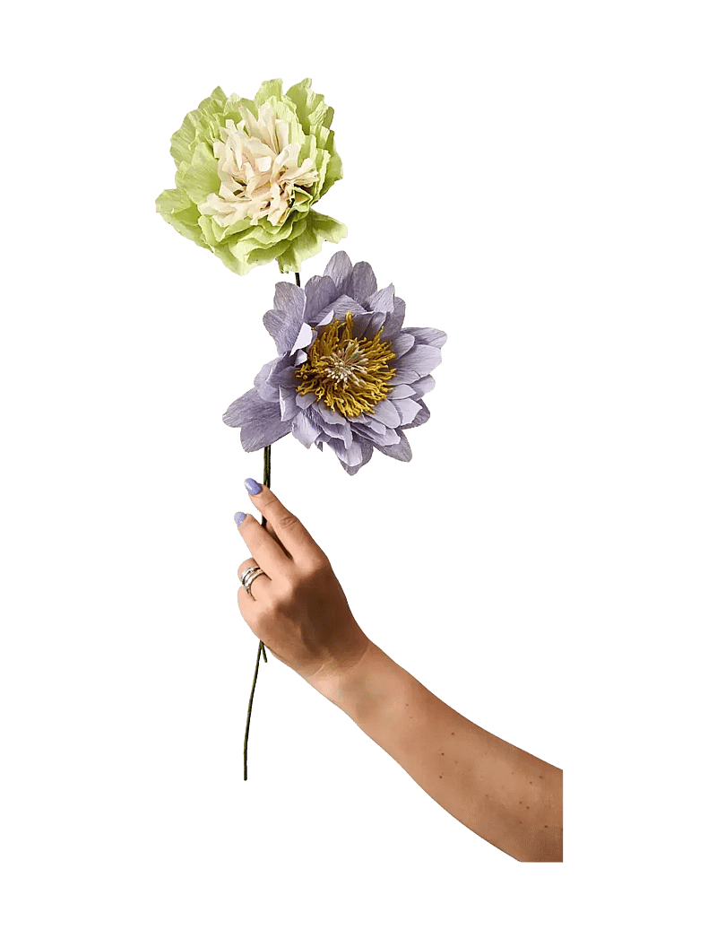 Studio About - PAPER FLOWER - die niedrigsten preise - purple - 1