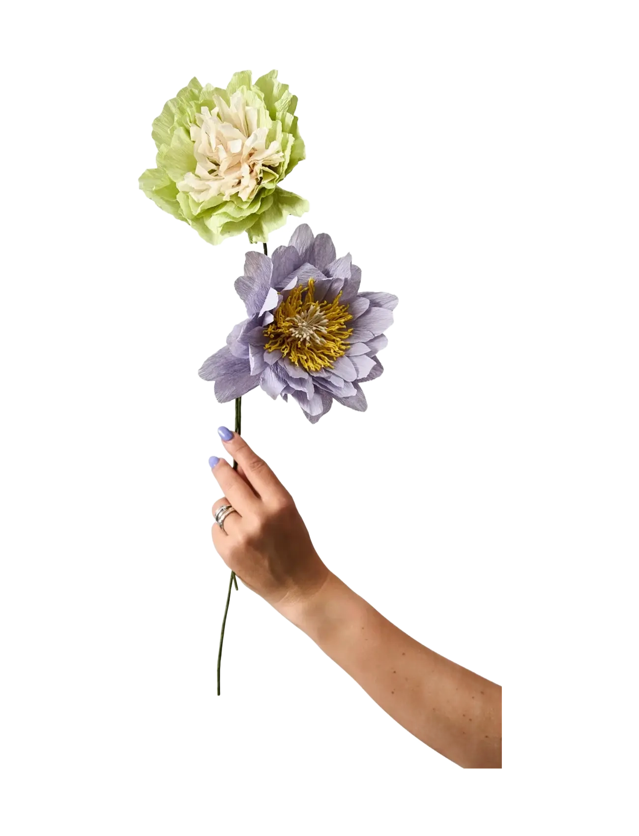 Studio About - PAPER FLOWER - madalaimad hinnad - purple - 1