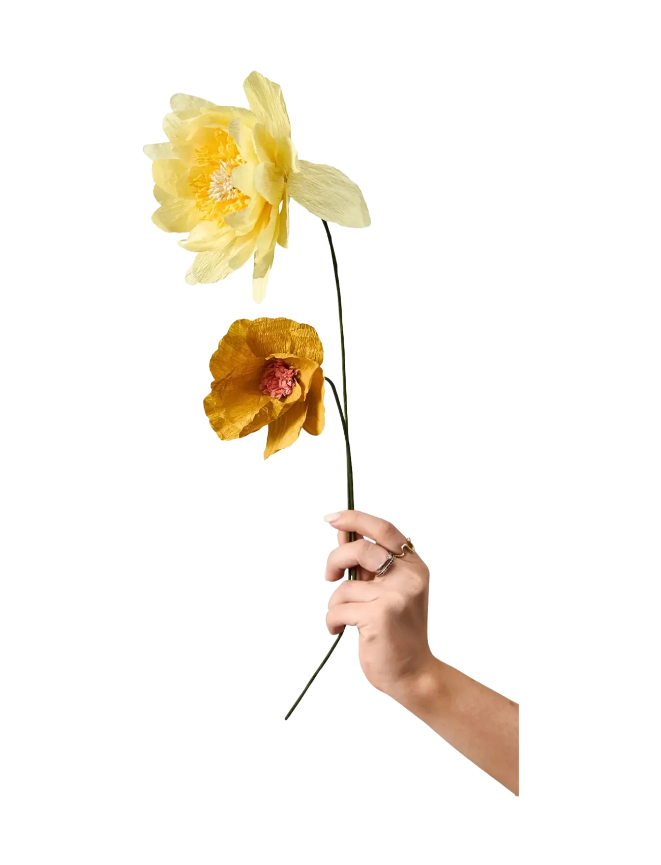 Studio About - PAPER FLOWER - die niedrigsten preise - yellow - 1