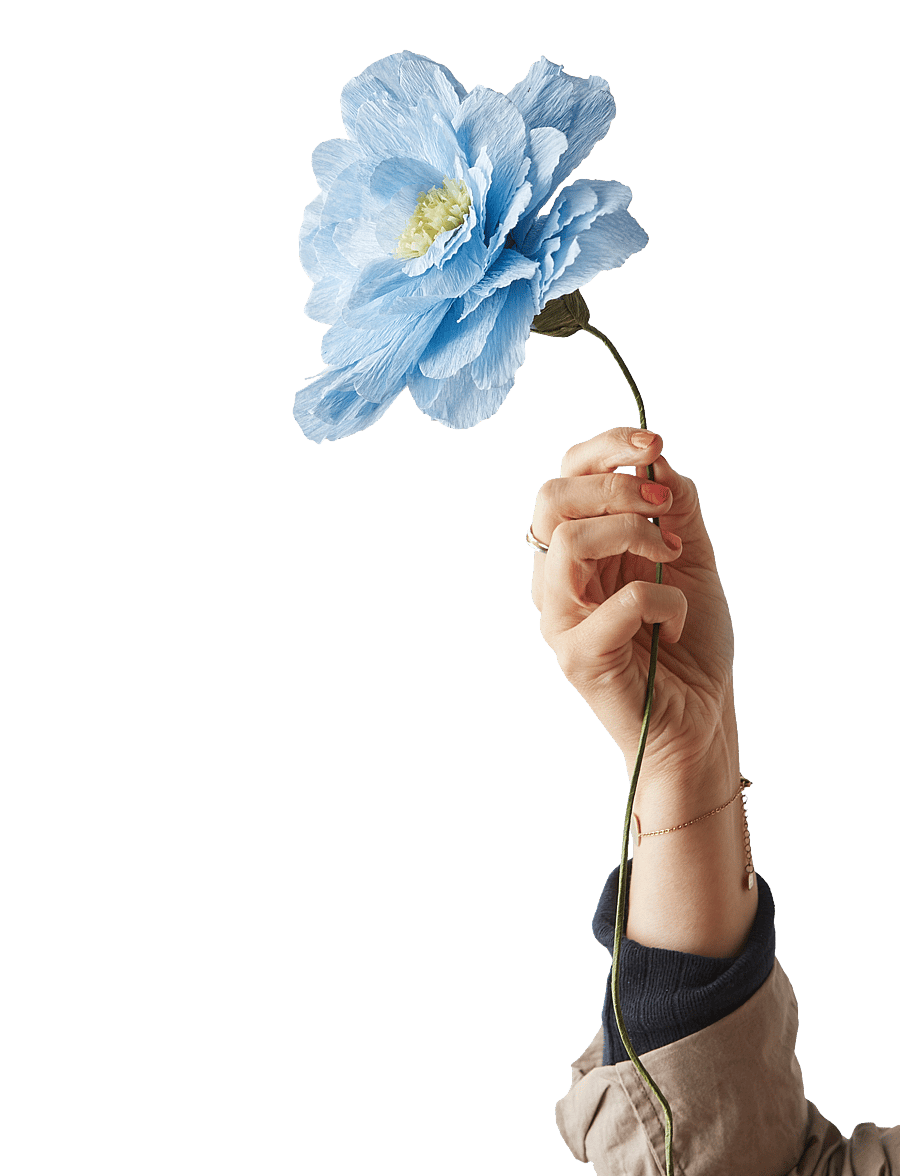 Studio About - PAPER FLOWER - kuivatatud lilled - blue - 1