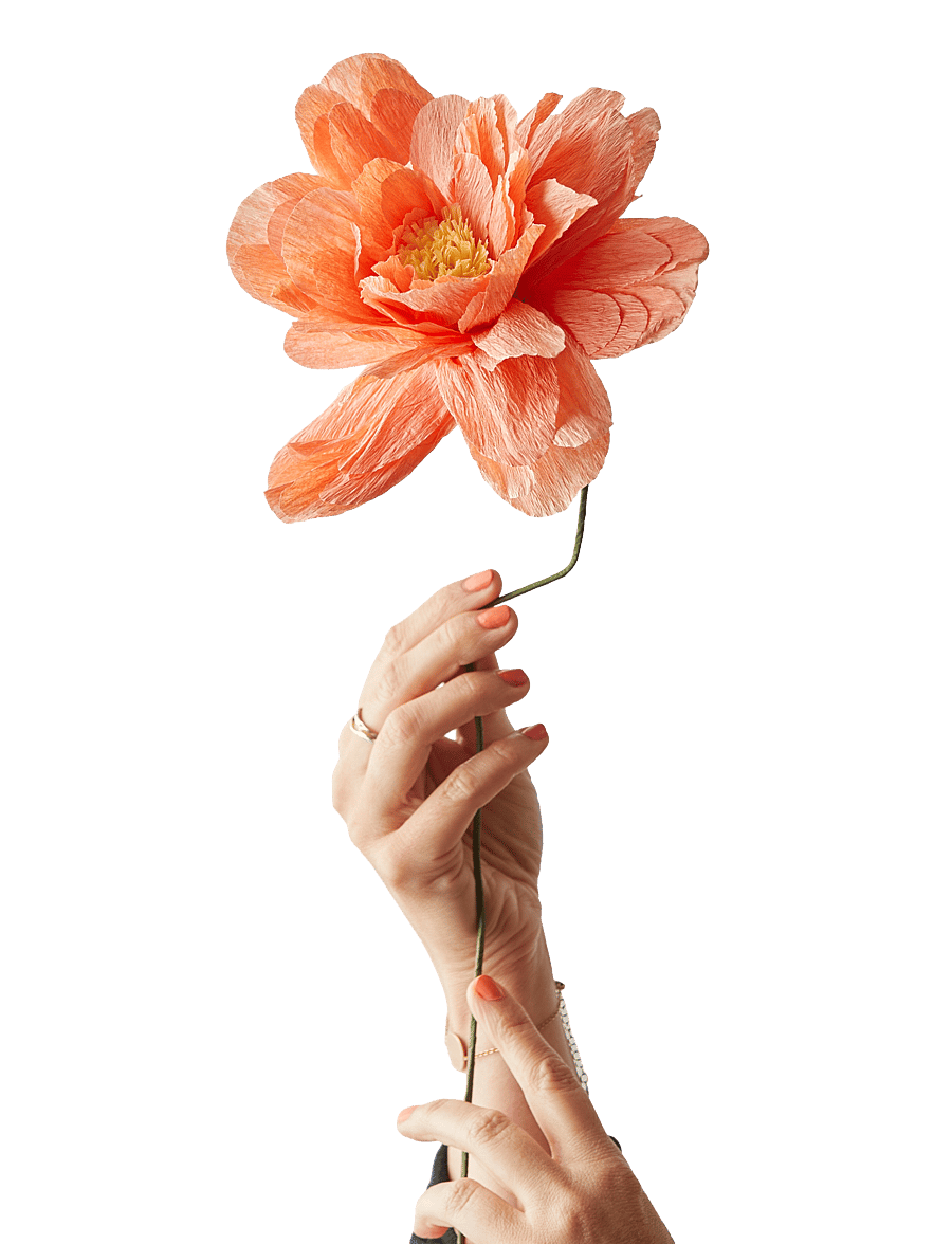 Studio About - PAPER FLOWER - kuivatatud lilled - peach - 1