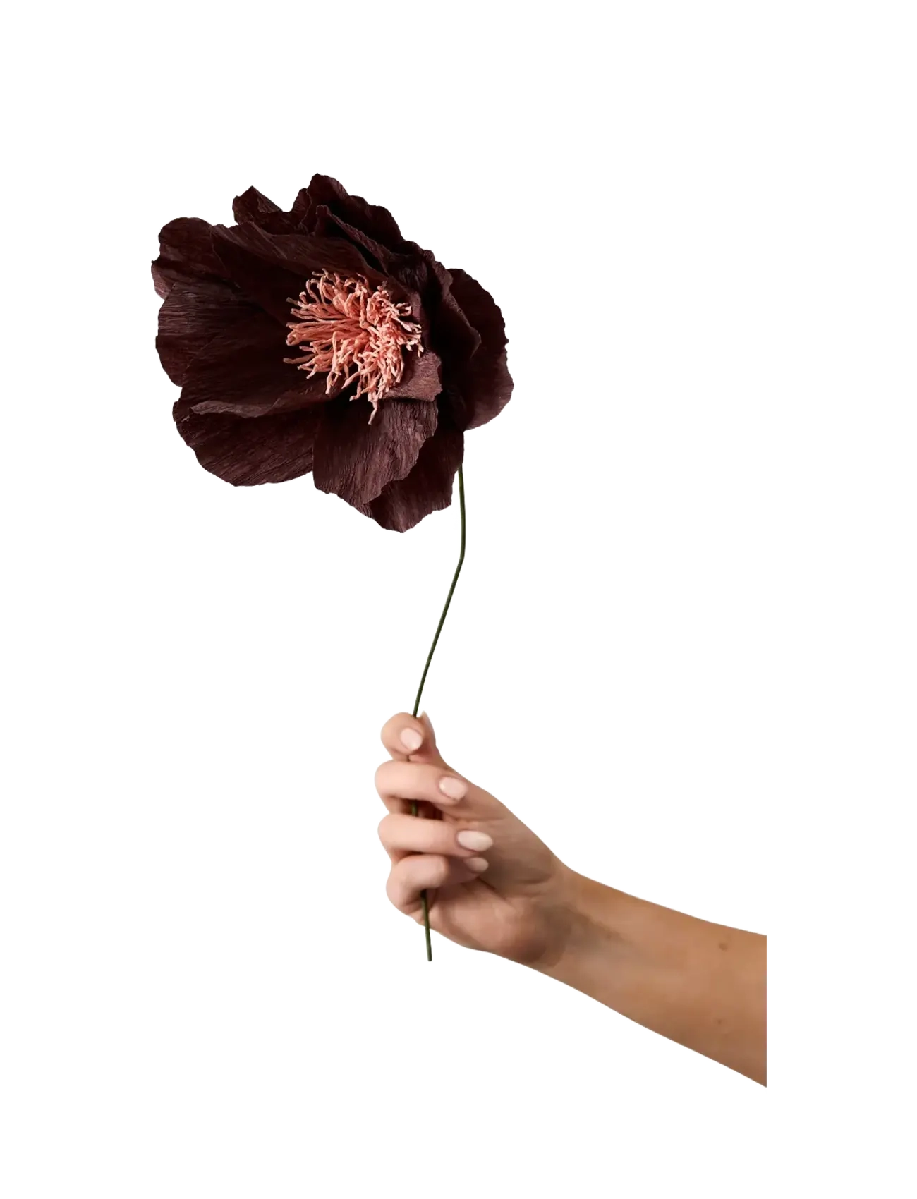 STUDIO ABOUT Paper Flower Burgundy - One Size - Unisex